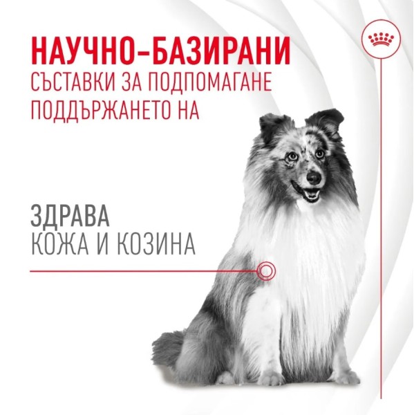 Royal Canin Adult Dog Skin n Coat Supplement - Хранителна добавка за кучета за кожа и козина - 240 гр